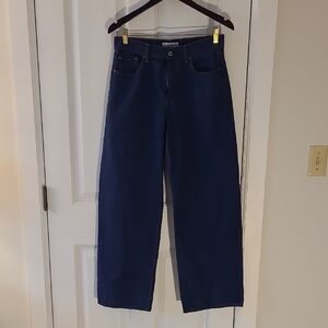 Abercrombie & Fitch Ultra Loose Low Rise Jeans curve love